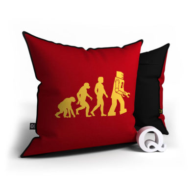 The Big Bang Theory - Evolution