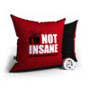 The Big Bang Theory - Not insane